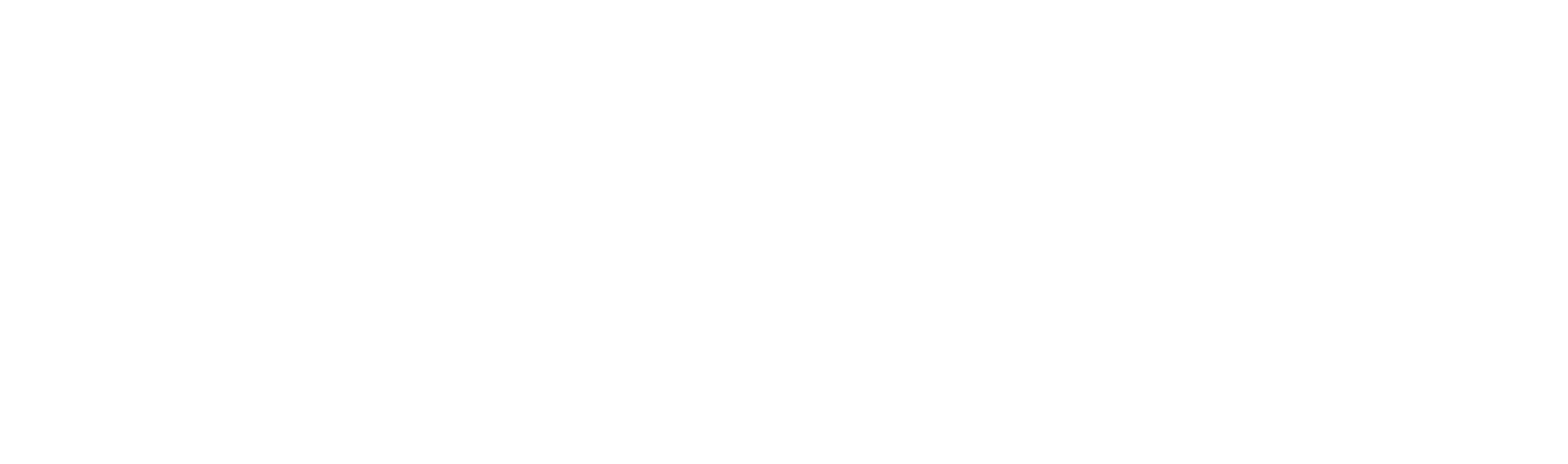 DivestStone Transaction Advisors - Desktop Footer Logo.